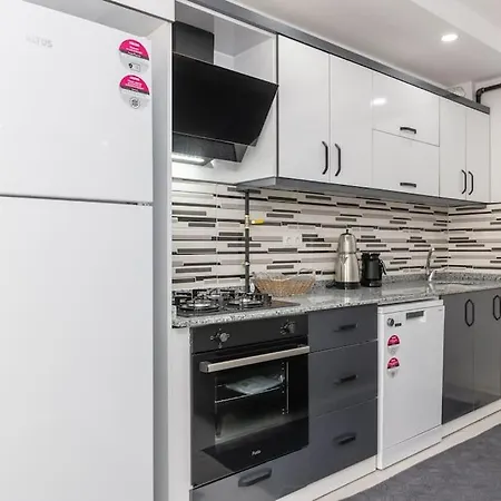 6-sehir Merkezinde Bueyuek Modern Apartment