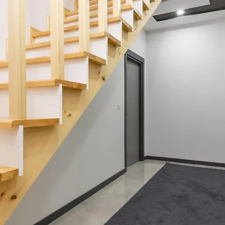 6-sehir Merkezinde Bueyuek Modern *