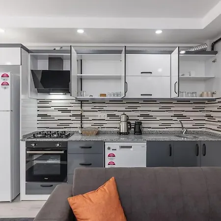 6-şehir Merkezinde Büyük Modern Daire *