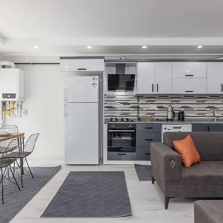 6-şehir Merkezinde Büyük Modern *